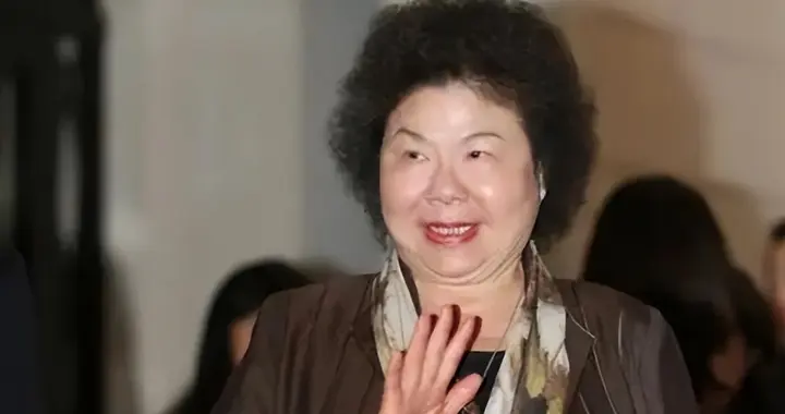 林岱桦最终以百万元新台币交保,蓝绿不看好其未来高雄市长初选之路