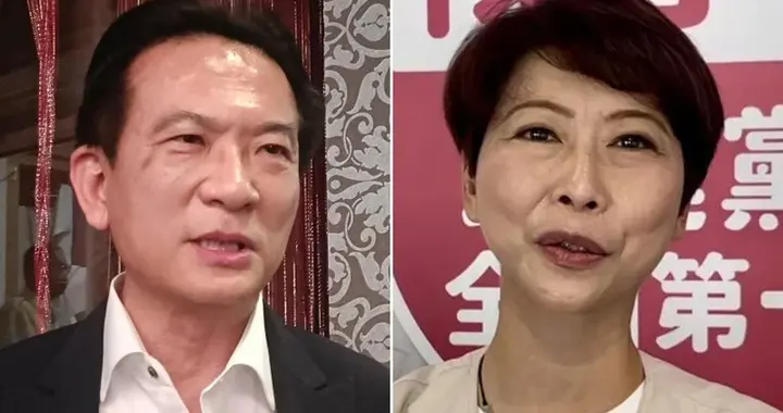 绿营民代提解散台民意机构?游淑慧轰丢脸:民进党赌输就要翻桌