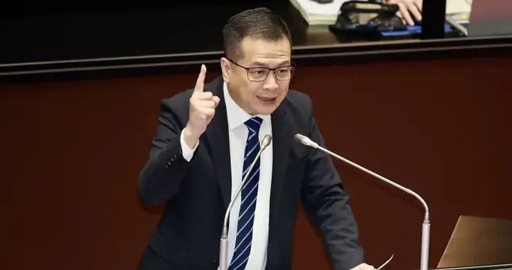 林岱桦最终以百万元新台币交保,蓝绿不看好其未来高雄市长初选之路