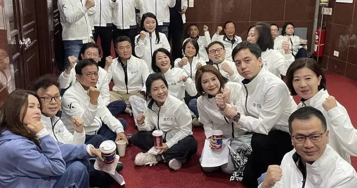 林岱桦最终以百万元新台币交保,蓝绿不看好其未来高雄市长初选之路