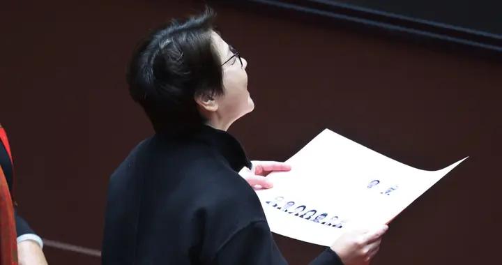 台民意机构再爆冲突,柯建铭敲拐杖打伤徐巧芯,挨批“近乎疯魔”