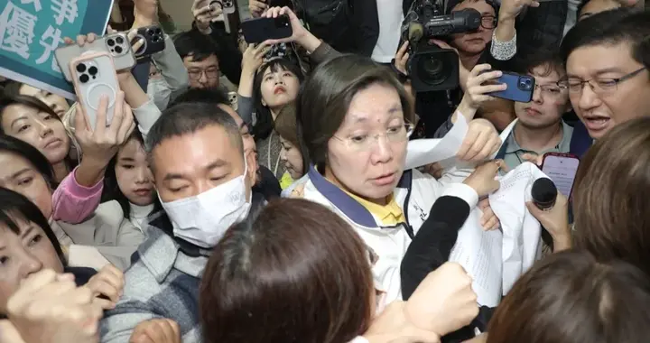 蓝营女将批赖清德是某境外敌对势力代理人,被派来颠覆台湾