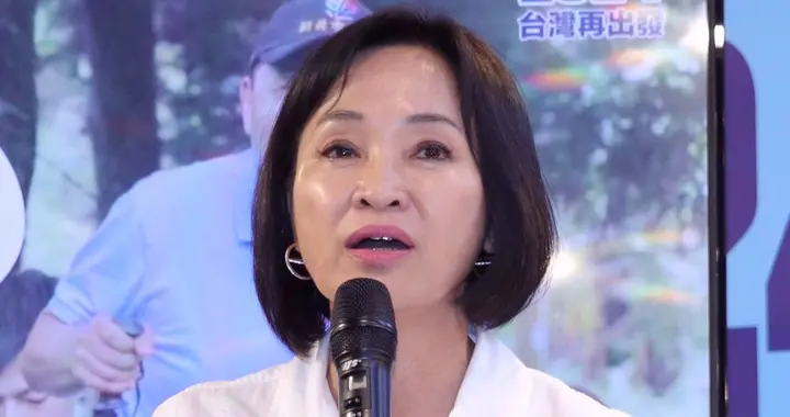 林岱桦为脱党参选埋伏笔?绿营:2018事件或将重演,柯志恩渔翁得利